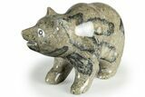 Realistic Polished Fossil Staghorn Coral Bear - Philippines #326788-1